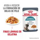 Royal Canin Intense Hairball pienso para gatos, , large image number null